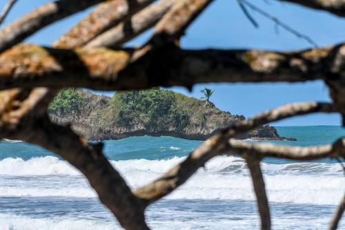 28279079 10155914486311839 8727597289739654316 n (1)